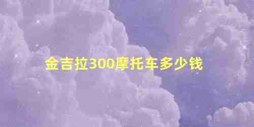 金吉拉300摩托车介绍(呆子测评金吉拉300摩托车)